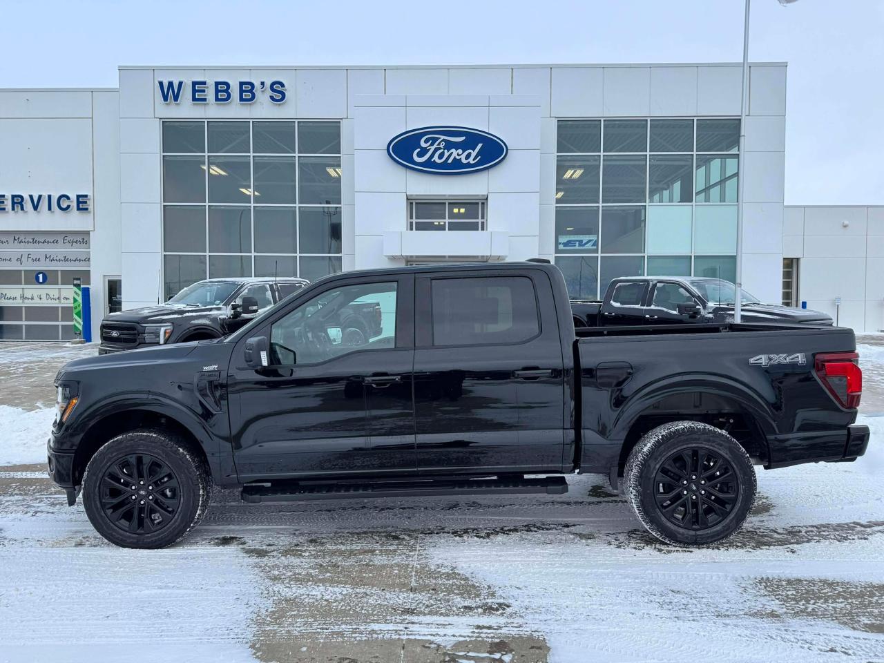 2025 Ford F-150 XLT 4WD SuperCrew 5.5' Box Photo1