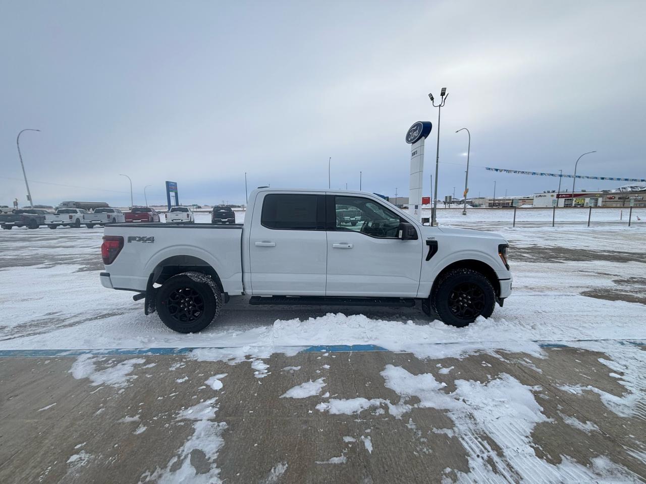 2025 Ford F-150 XLT 4WD SuperCrew 5.5' Box Photo3