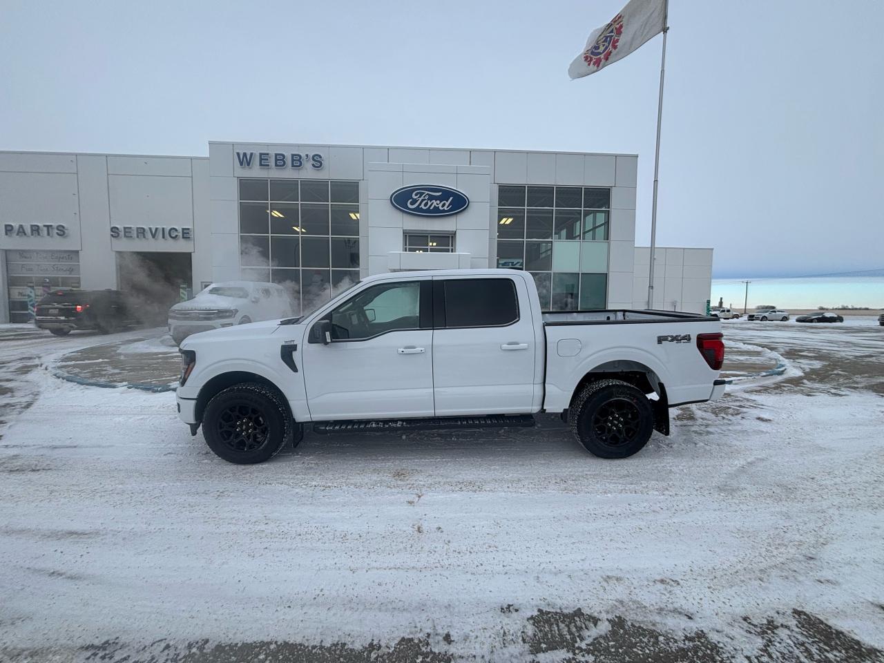 2025 Ford F-150 XLT 4WD SuperCrew 5.5' Box Photo4