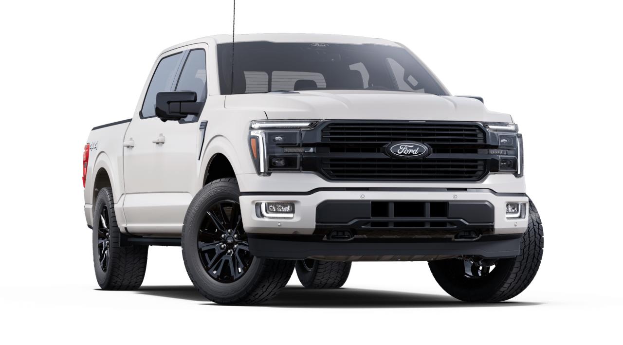 2025 Ford F-150 4x4 Platinum-145 Photo3