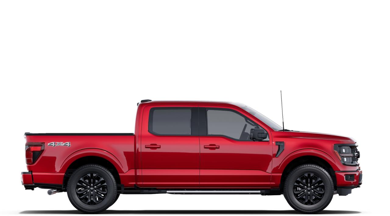 2025 Ford F-150 XLT Photo5