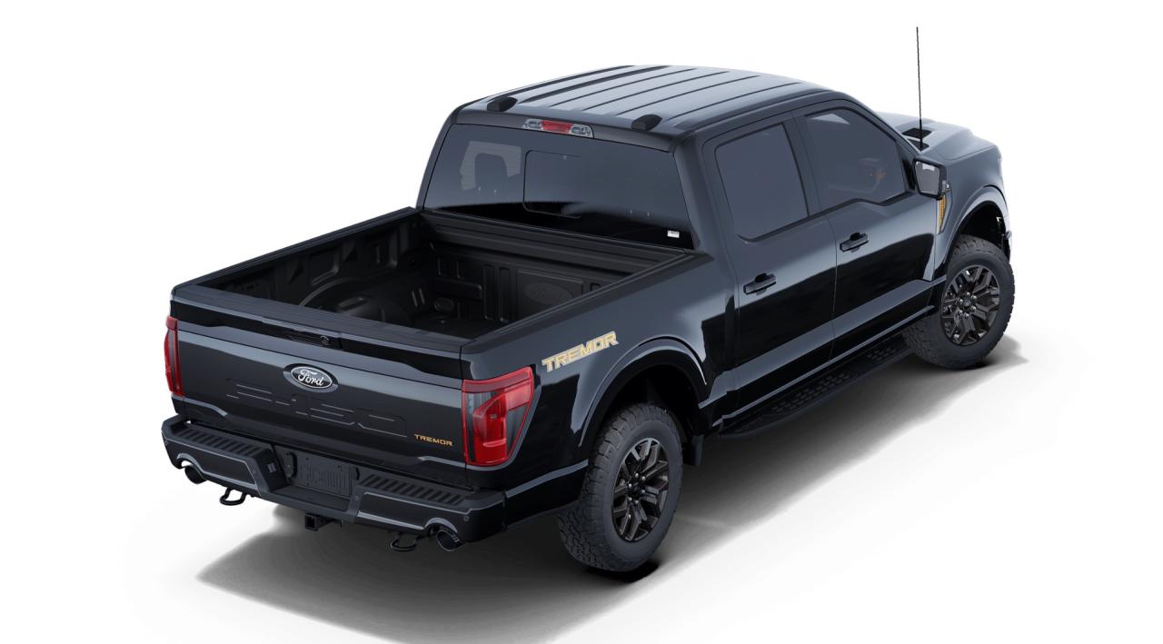 2025 Ford F-150 Tremor 4WD SuperCrew 5.5' Box Photo