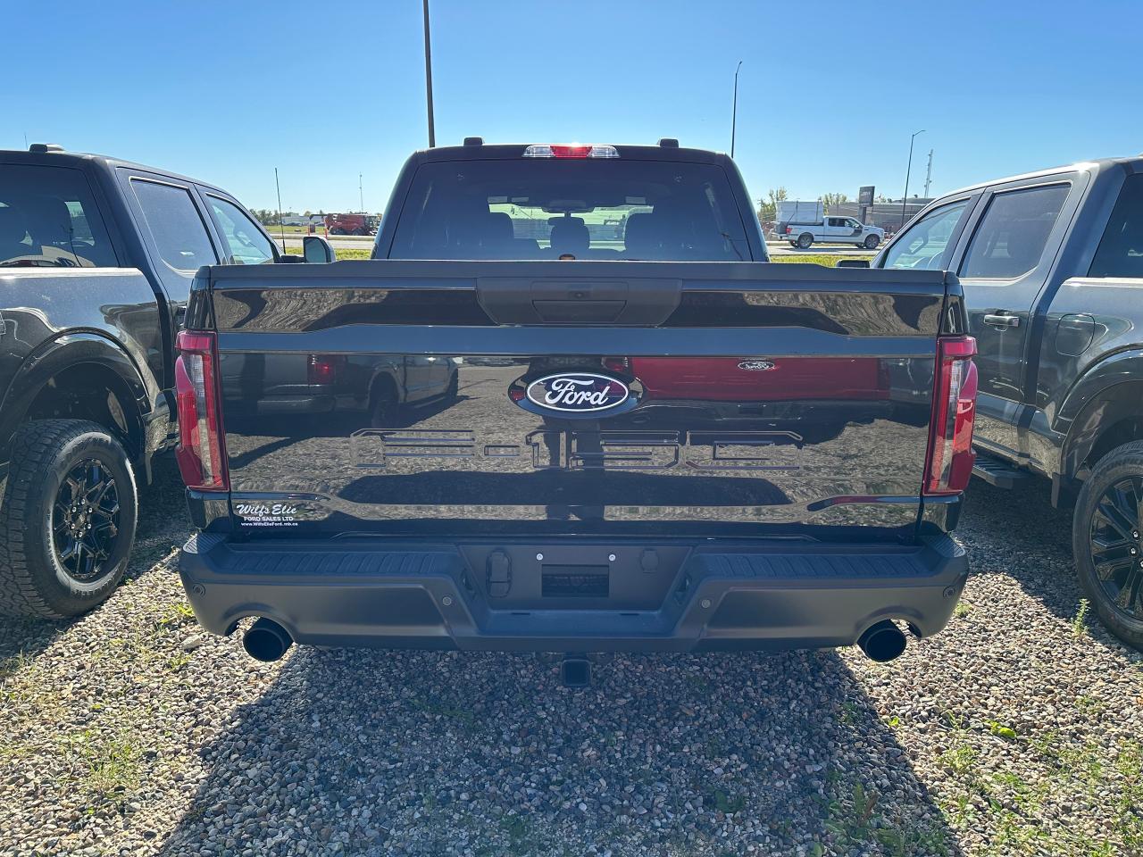 2025 Ford F-150 STX 4WD SuperCrew 5.5' Box 201A Photo3