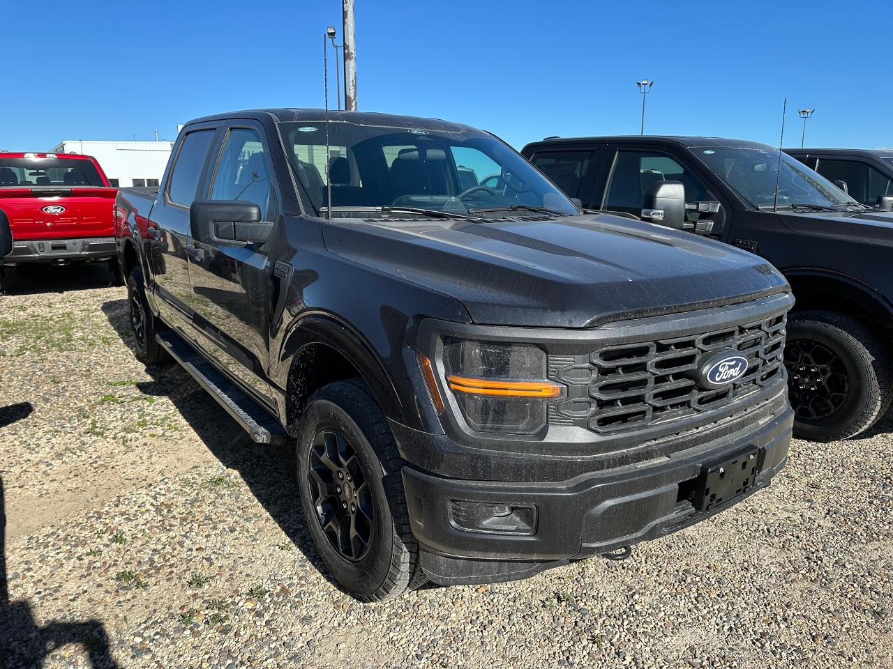 2025 Ford F-150 STX 4WD SuperCrew 5.5' Box 201A Photo5