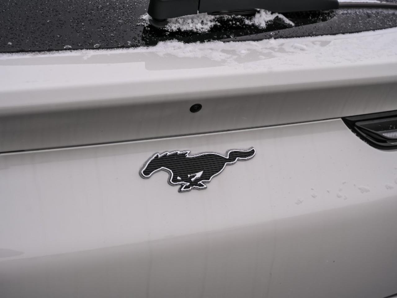 2025 Ford Mustang Mach-E Premium Photo4