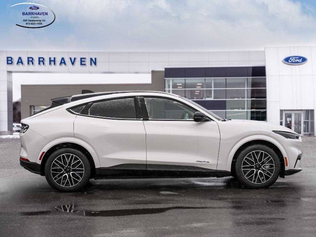 2025 Ford Mustang Mach-E Premium Photo