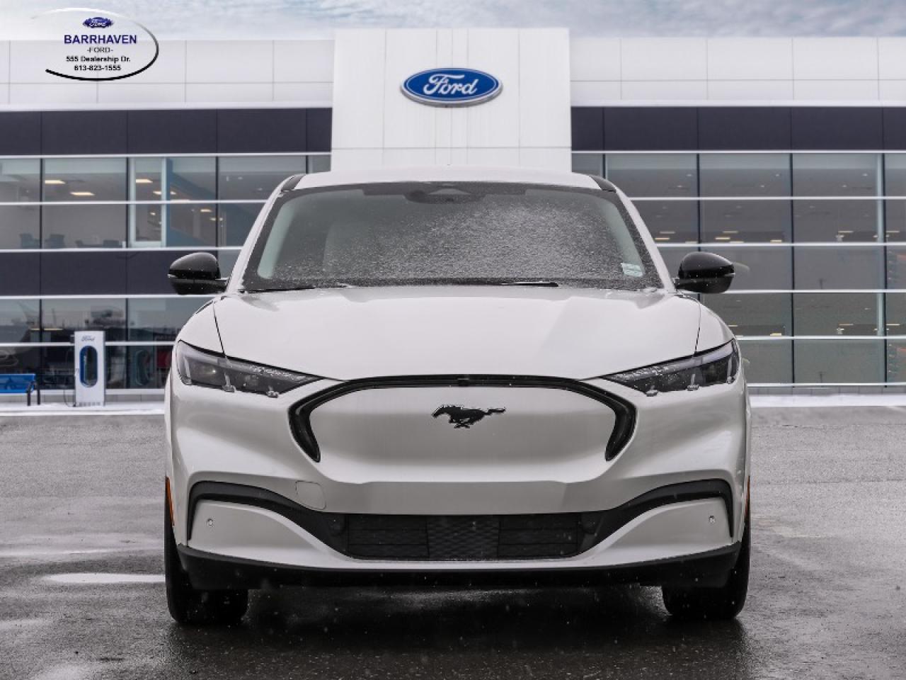 2025 Ford Mustang Mach-E Premium Photo