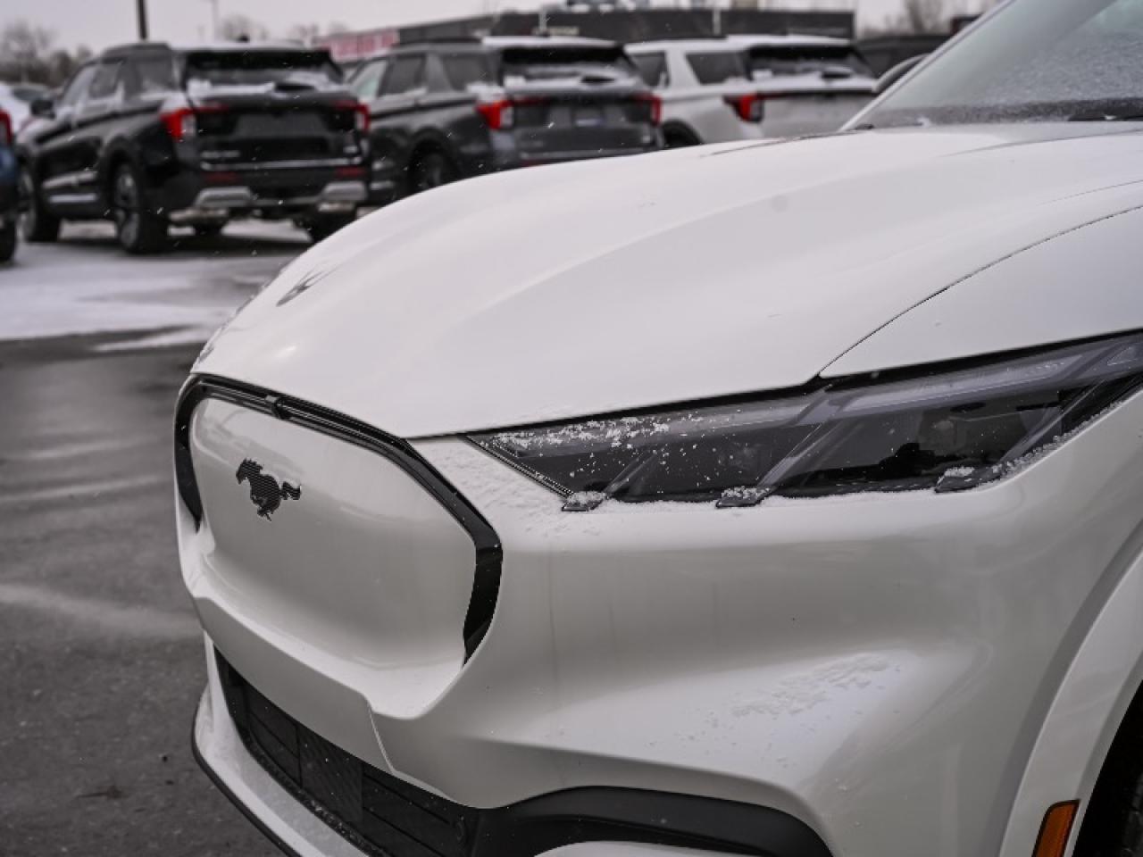 2025 Ford Mustang Mach-E Premium Photo