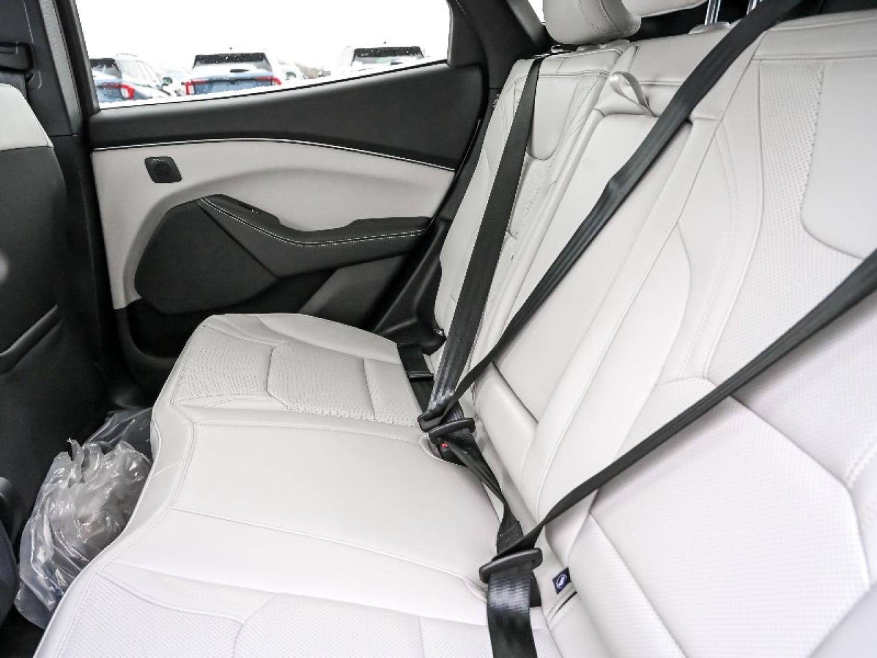 2025 Ford Mustang Mach-E Premium Photo