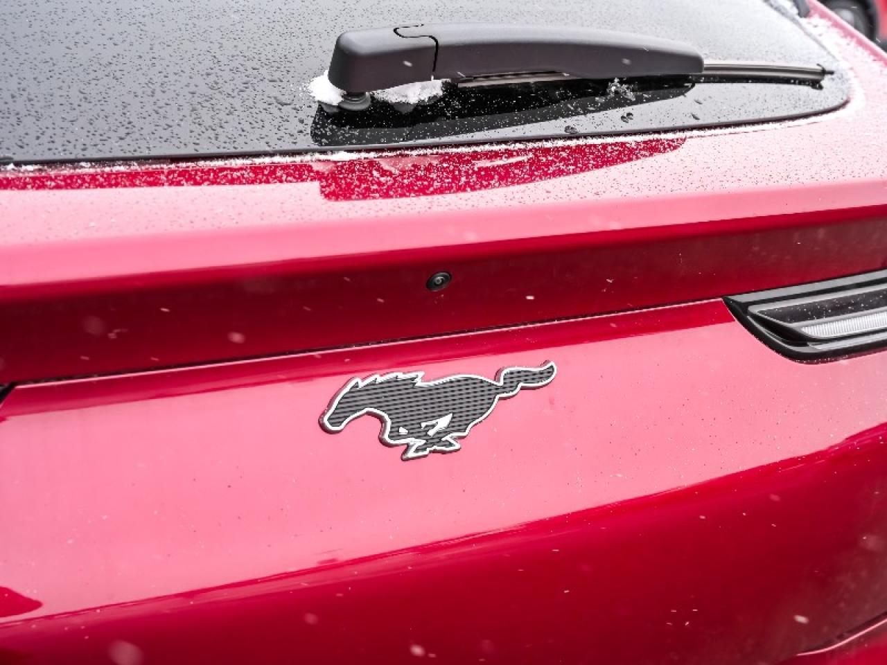 2025 Ford Mustang Mach-E Premium Photo