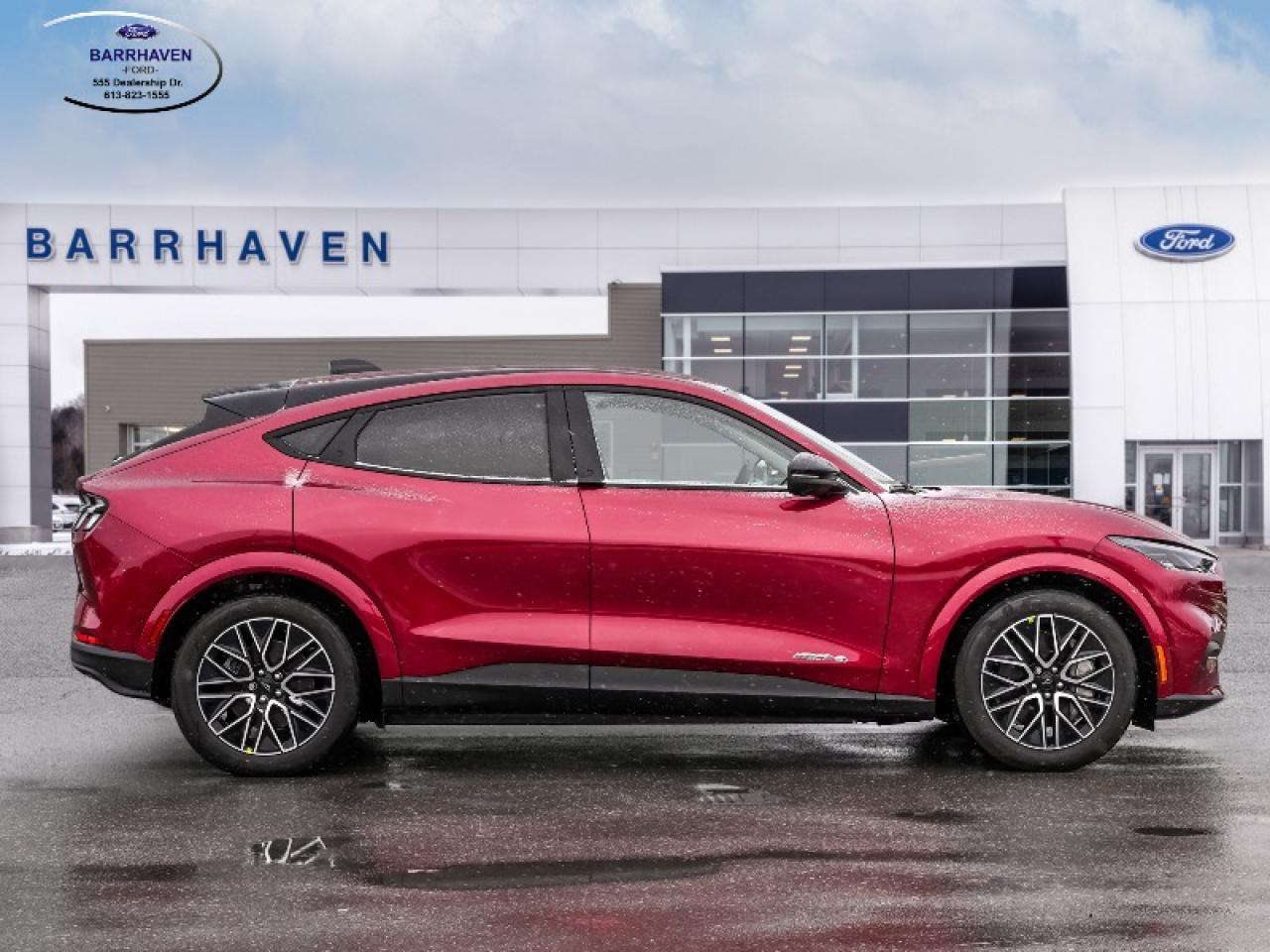 2025 Ford Mustang Mach-E Premium Photo