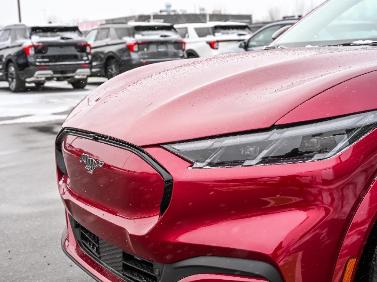 2025 Ford Mustang Mach-E Premium Photo