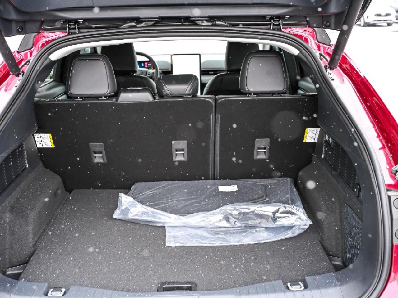 2025 Ford Mustang Mach-E Premium Photo