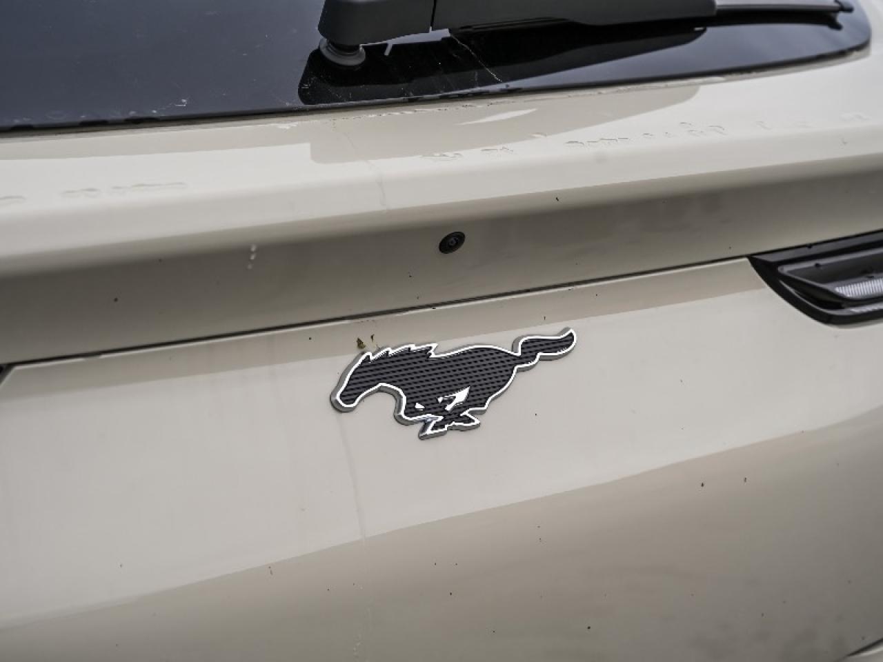 2025 Ford Mustang Mach-E Premium Photo4