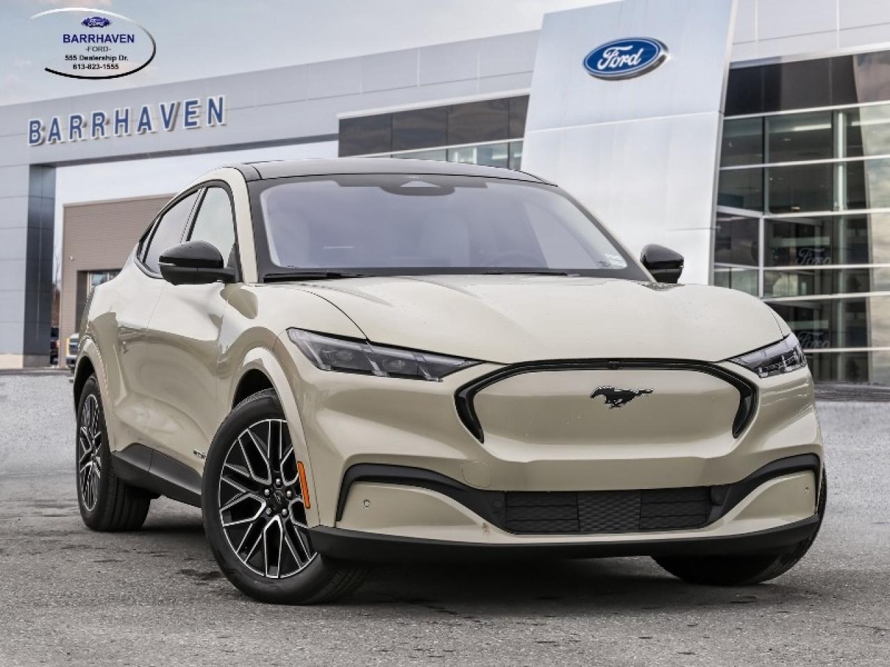 2025 Ford Mustang Mach-E Premium Photo0