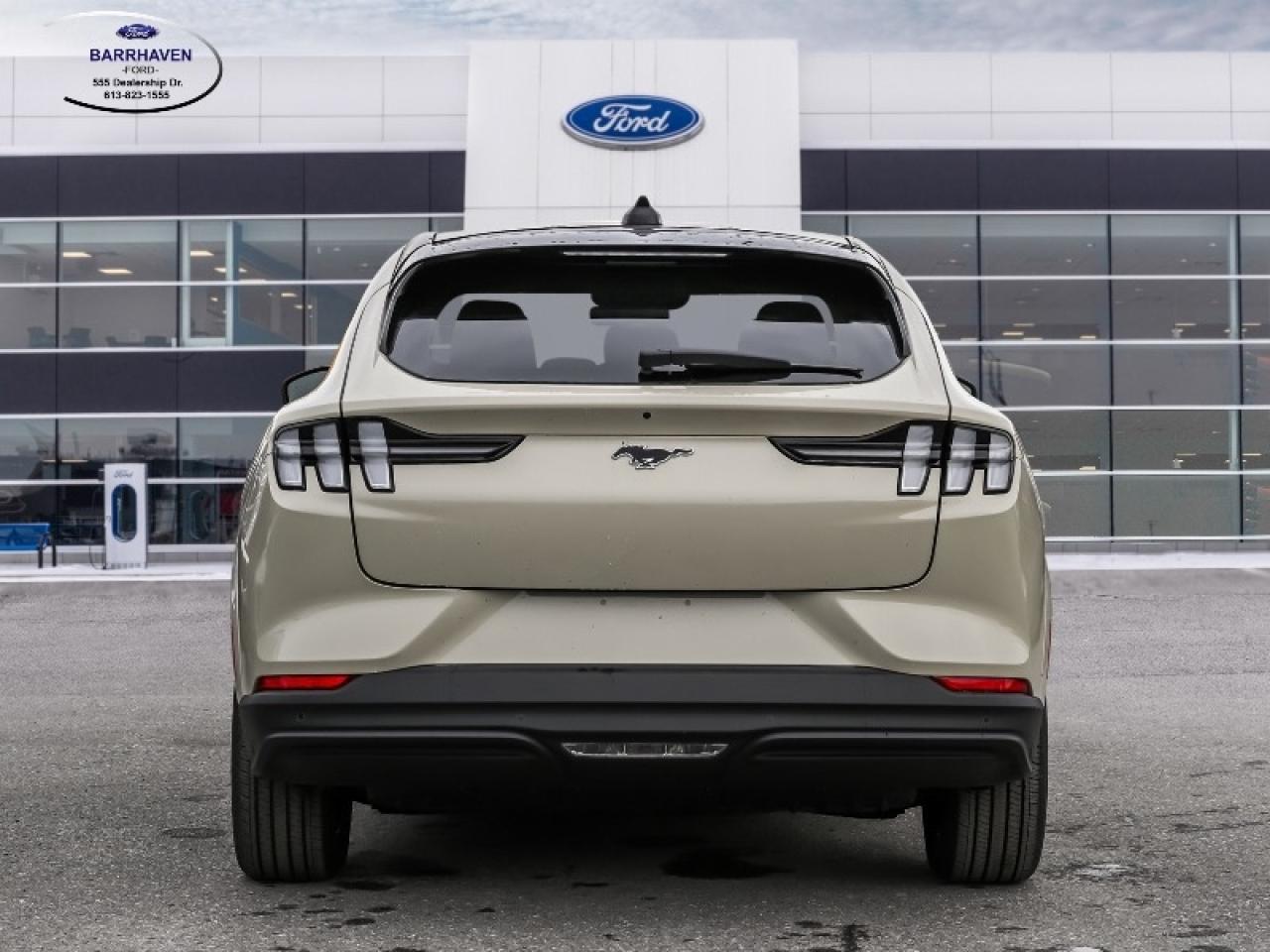 2025 Ford Mustang Mach-E Premium Photo