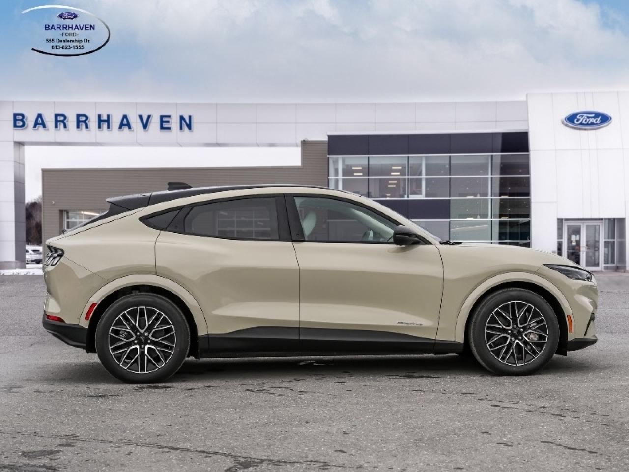 2025 Ford Mustang Mach-E Premium Photo