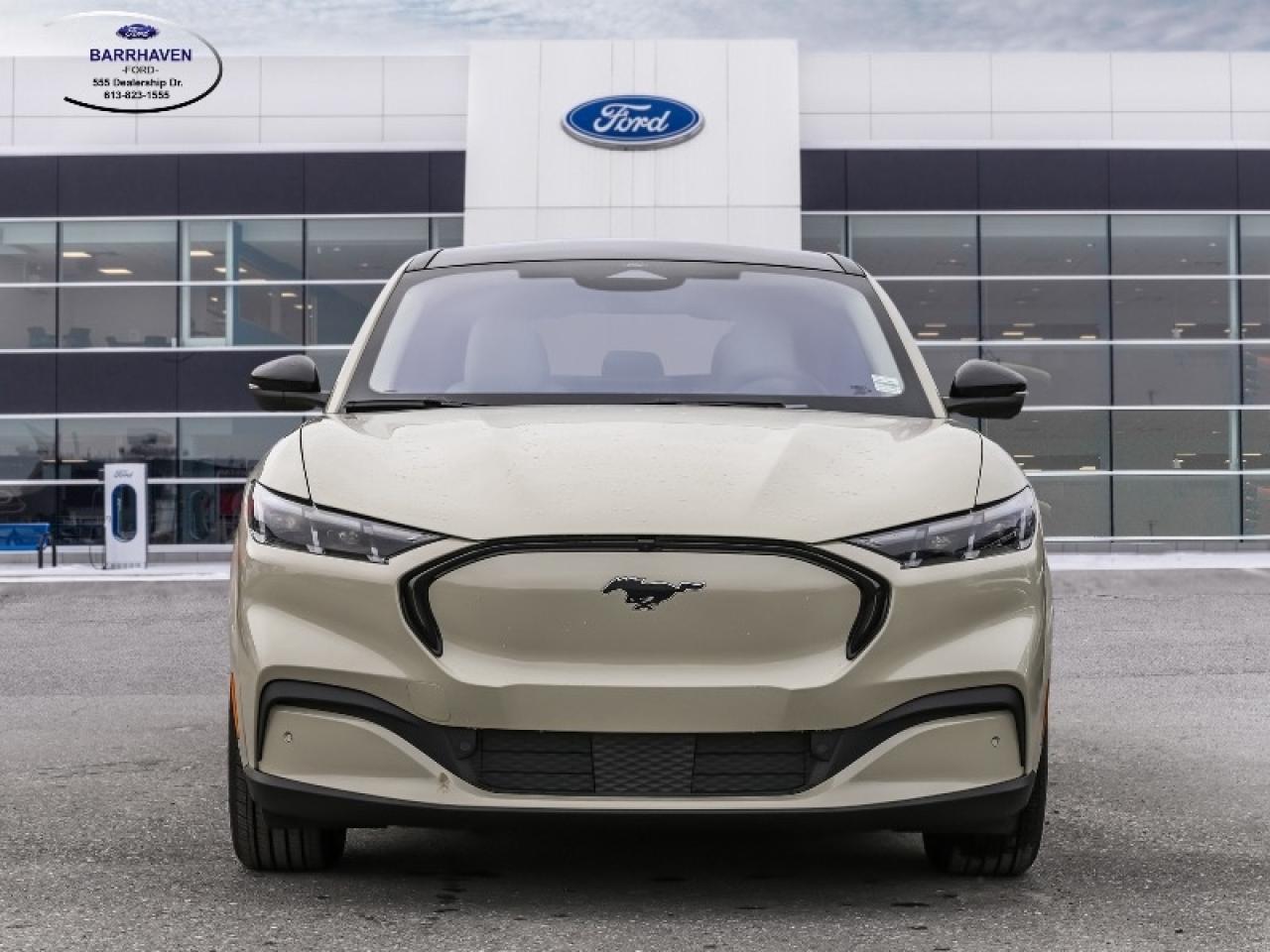 2025 Ford Mustang Mach-E Premium Photo
