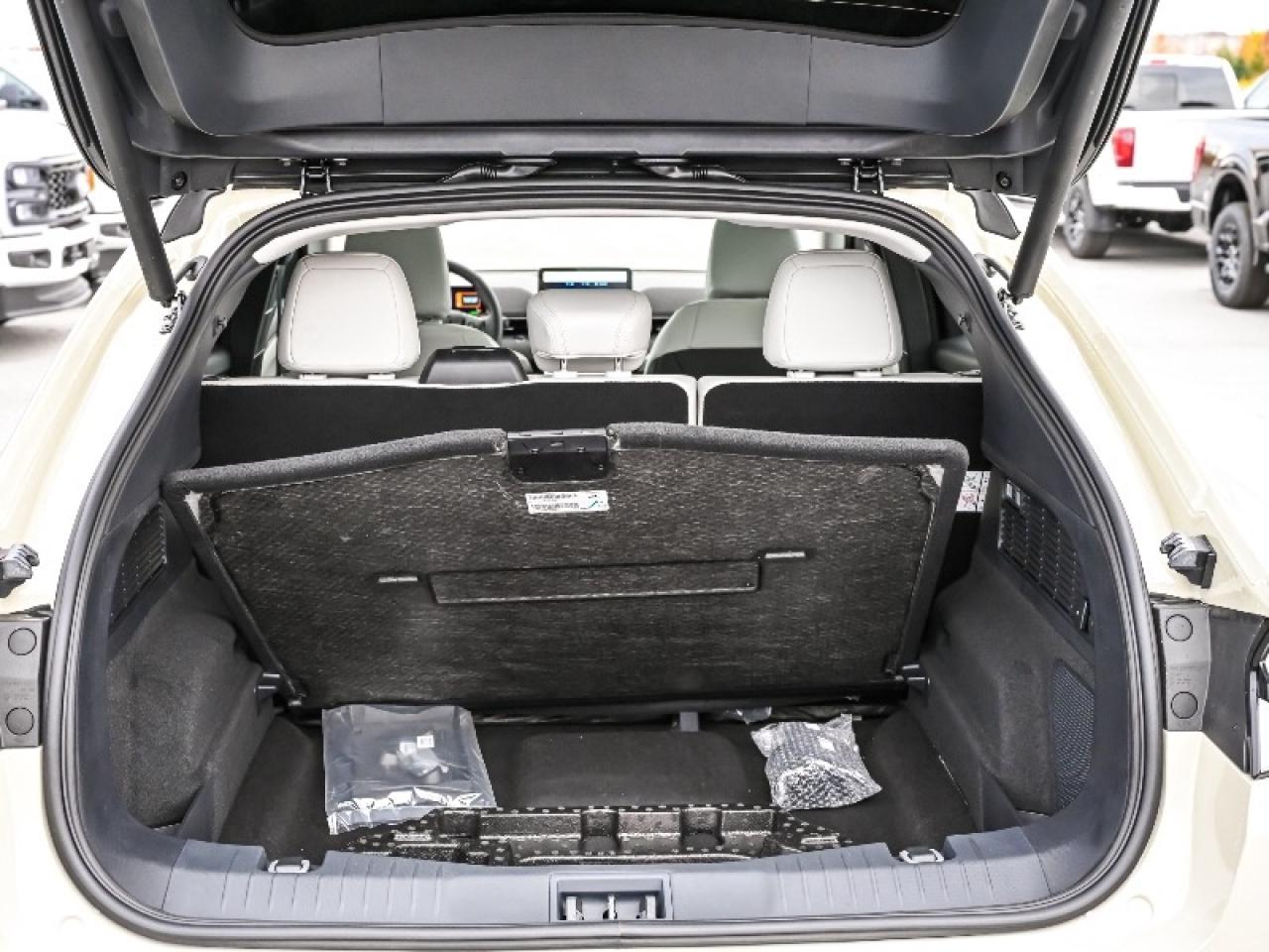 2025 Ford Mustang Mach-E Premium Photo