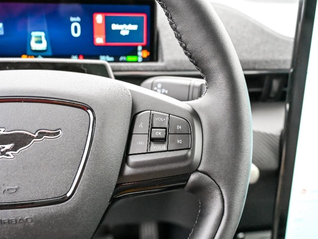 2025 Ford Mustang Mach-E Premium Photo