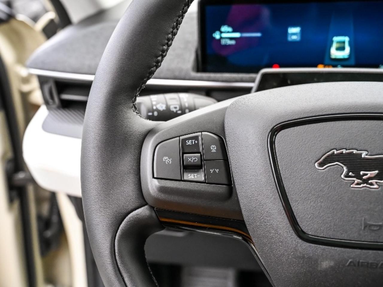 2025 Ford Mustang Mach-E Premium Photo