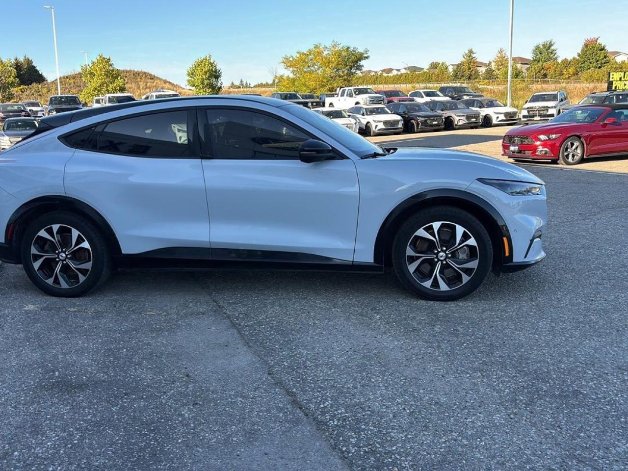 2021 Ford Mustang Mach-E Premium Photo5