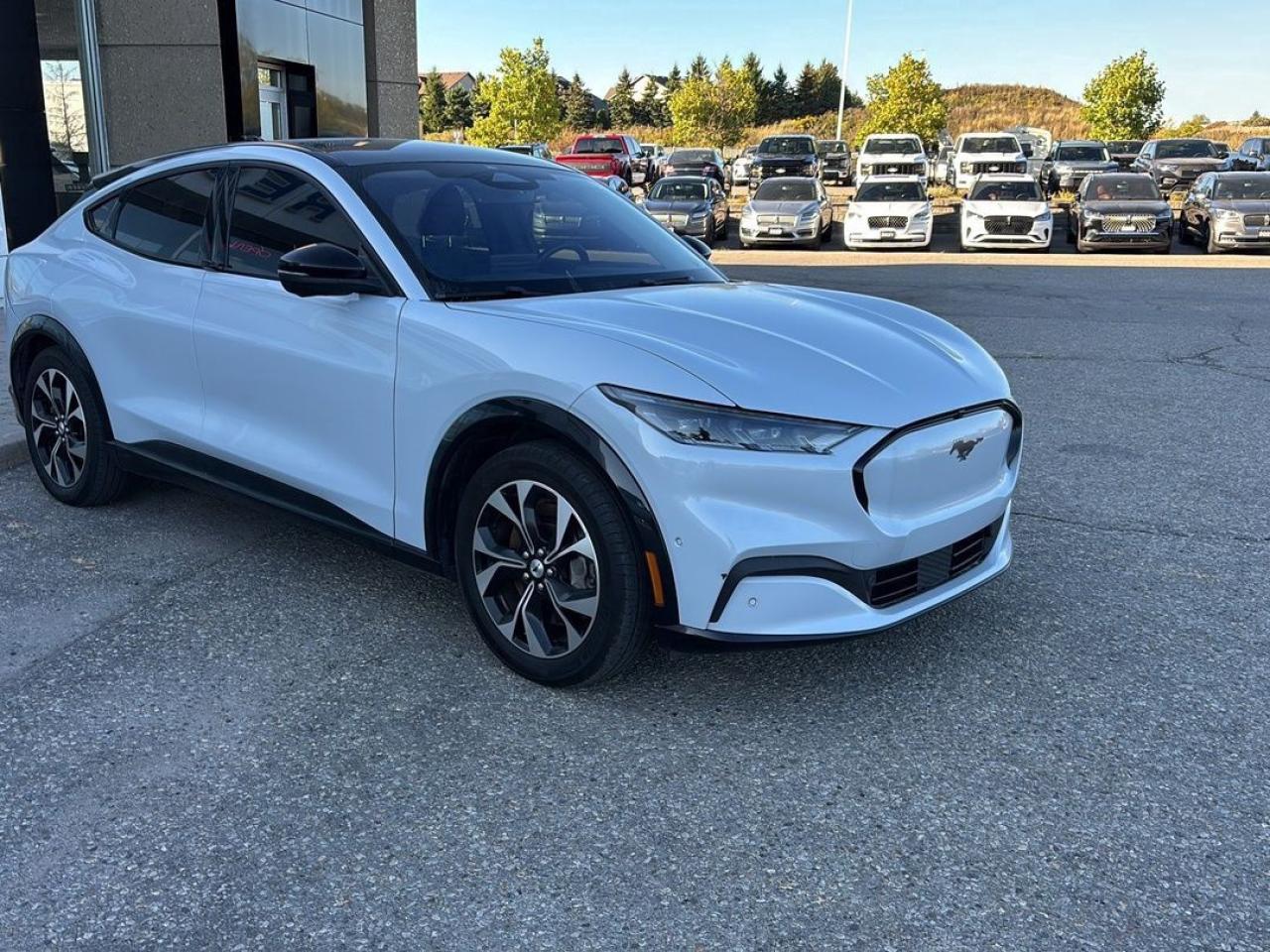 2021 Ford Mustang Mach-E Premium Photo
