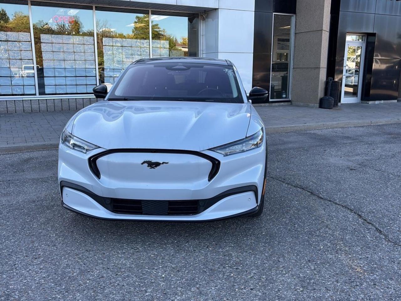 2021 Ford Mustang Mach-E Premium Photo