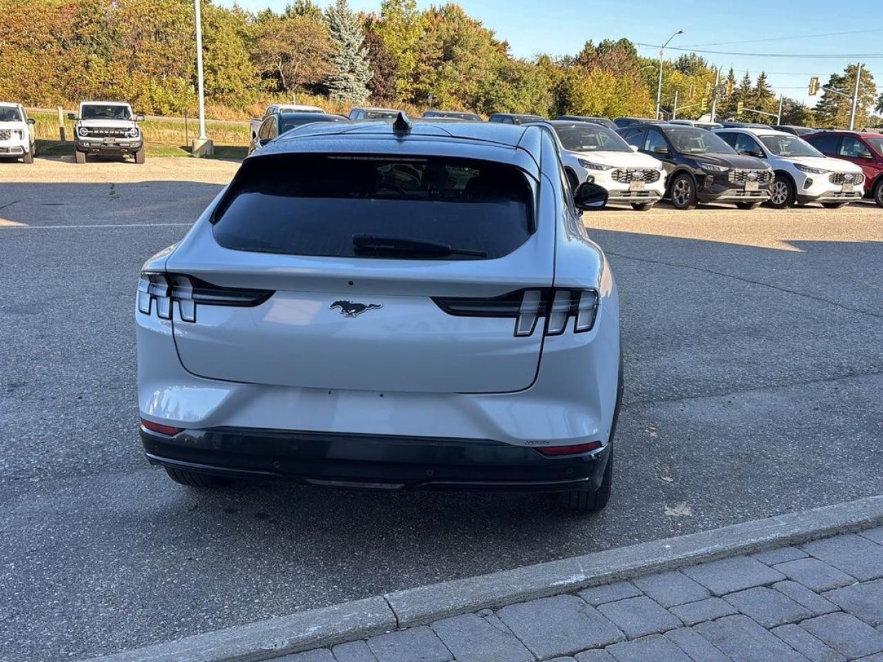 2021 Ford Mustang Mach-E Premium Photo5