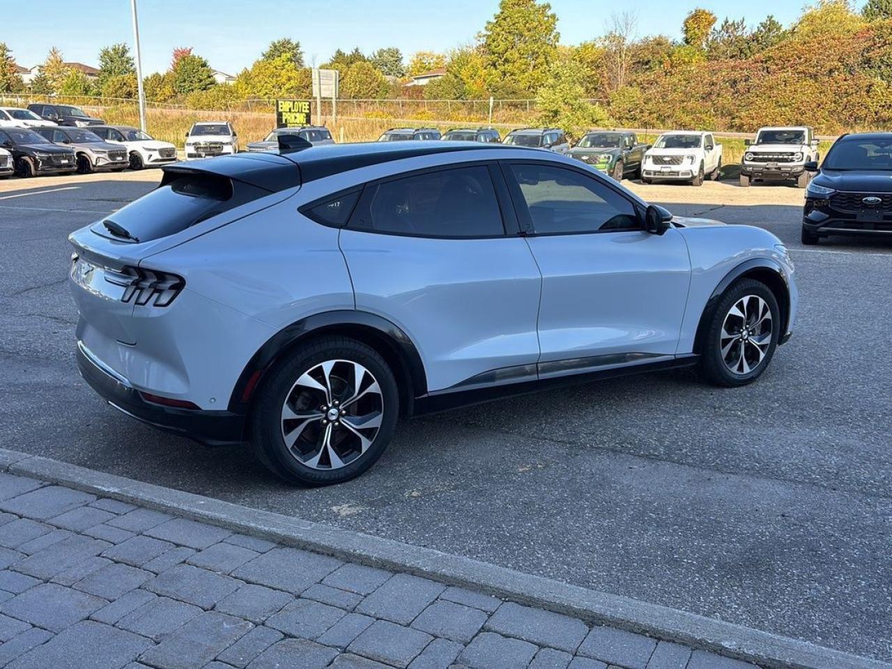 2021 Ford Mustang Mach-E Premium Photo5