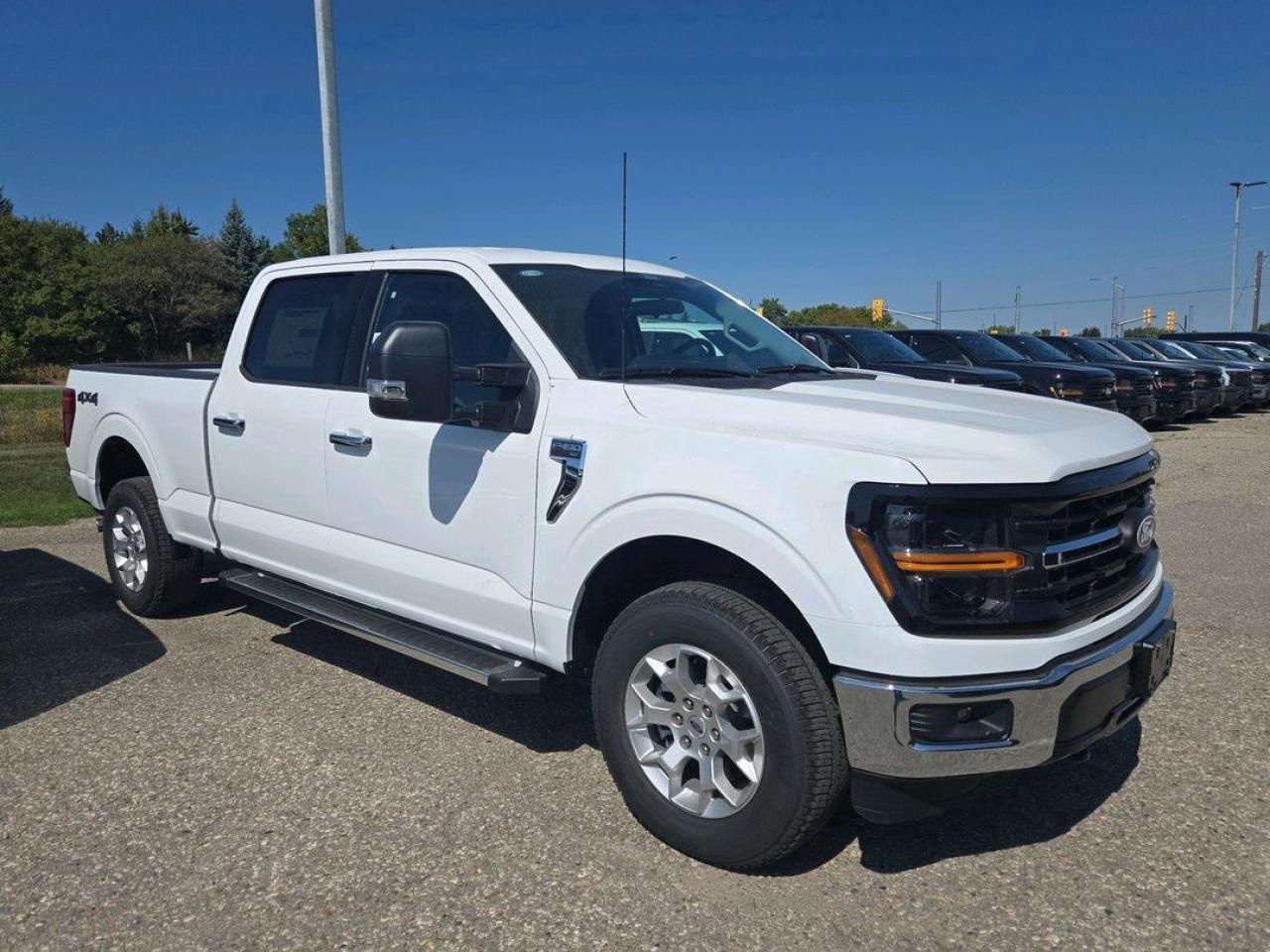 2025 Ford F-150 XLT, TOW HAUL PKG, 18" CHROME ALLOYS Photo