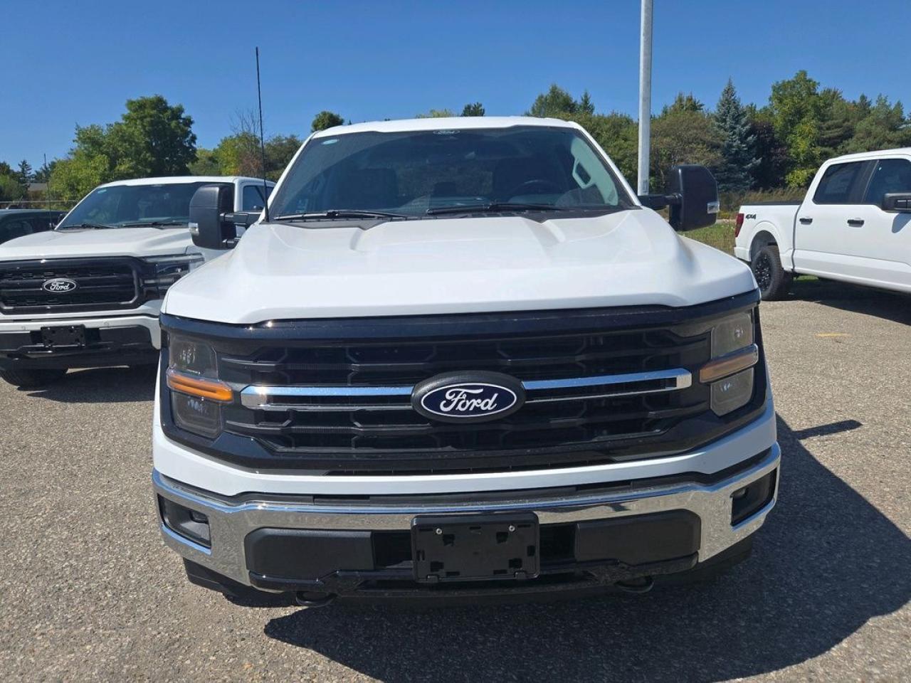 2025 Ford F-150 XLT, TOW HAUL PKG, 18" CHROME ALLOYS Photo