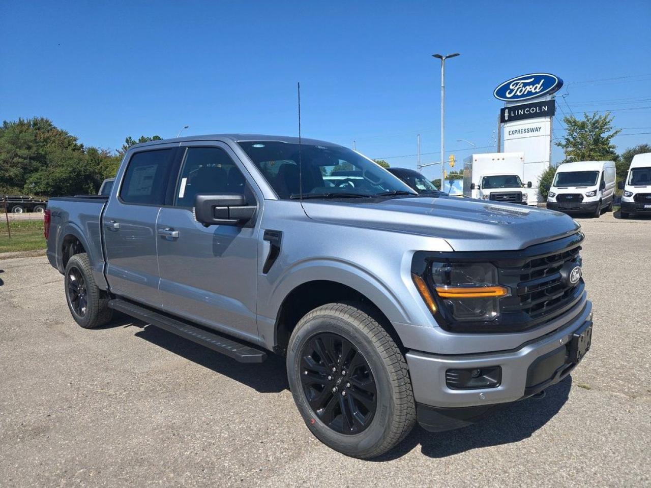 2025 Ford F-150 XLT Photo