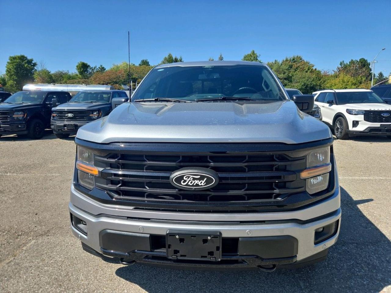 2025 Ford F-150 XLT Photo1