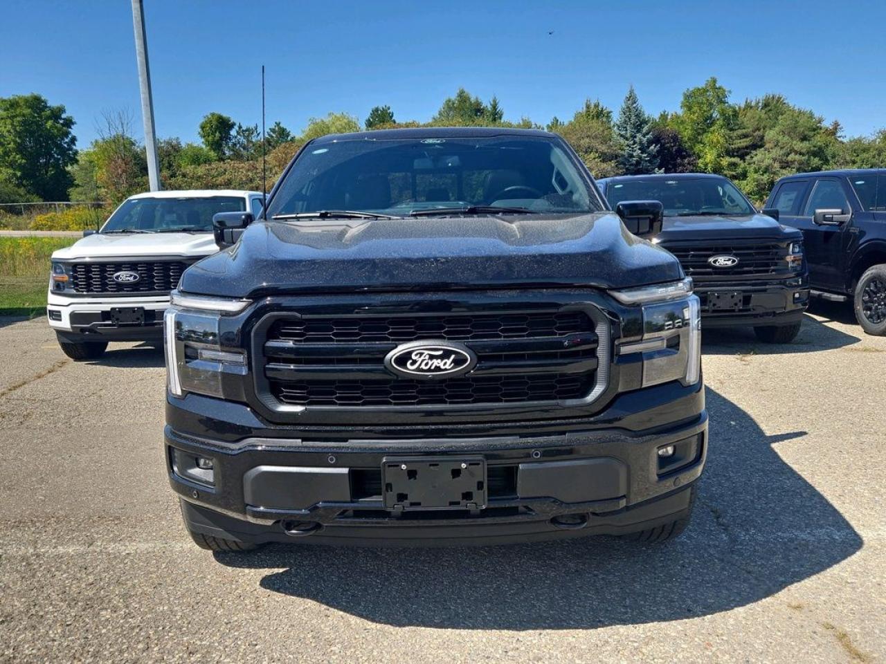 2025 Ford F-150 Lariat Photo