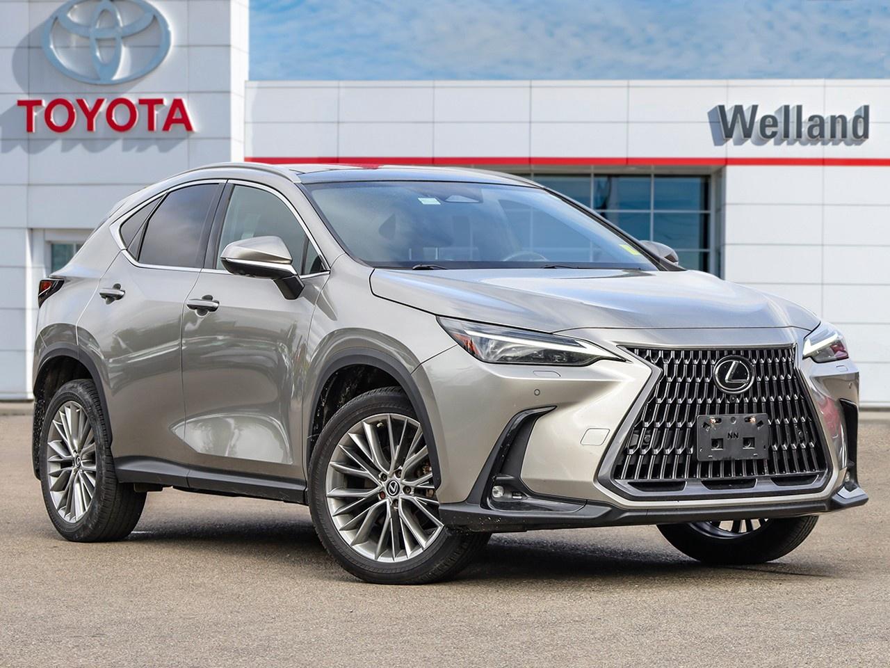 Used 2023 Lexus NX 350 for sale in Welland, ON