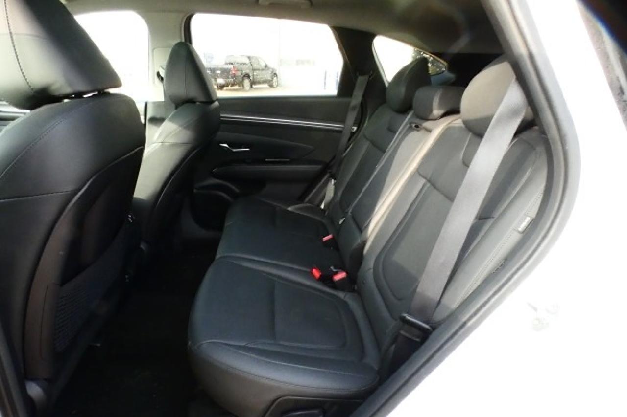 2024 Hyundai Tucson Trend AWD w/Htd Leather, pano S/R, NAV, BUC - Photo #10