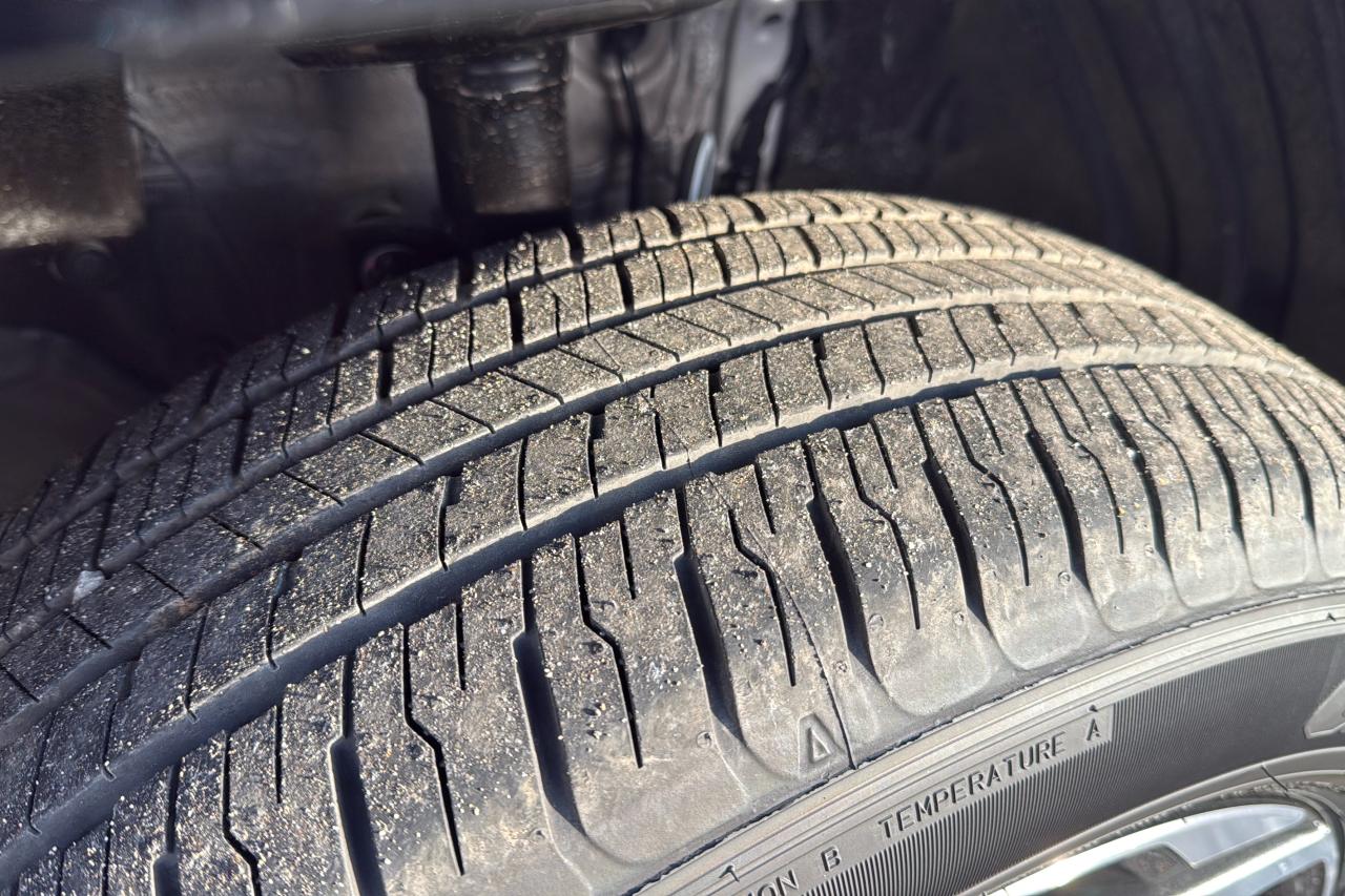 2025 Toyota RAV4 Plug-In Hybrid SE Photo