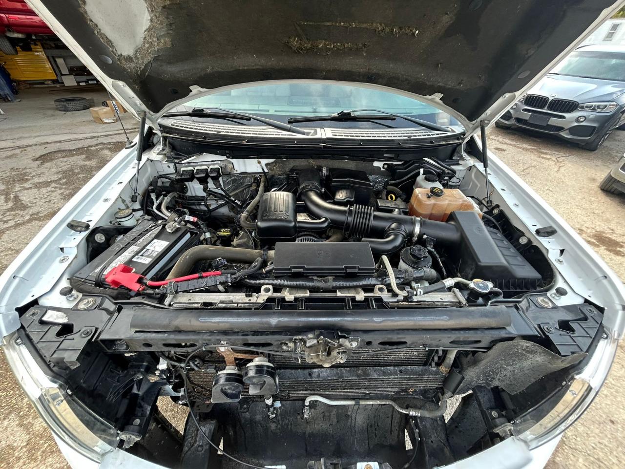 2010 Ford F-150 4WD SUPERCAB 145" XLT - Photo #13