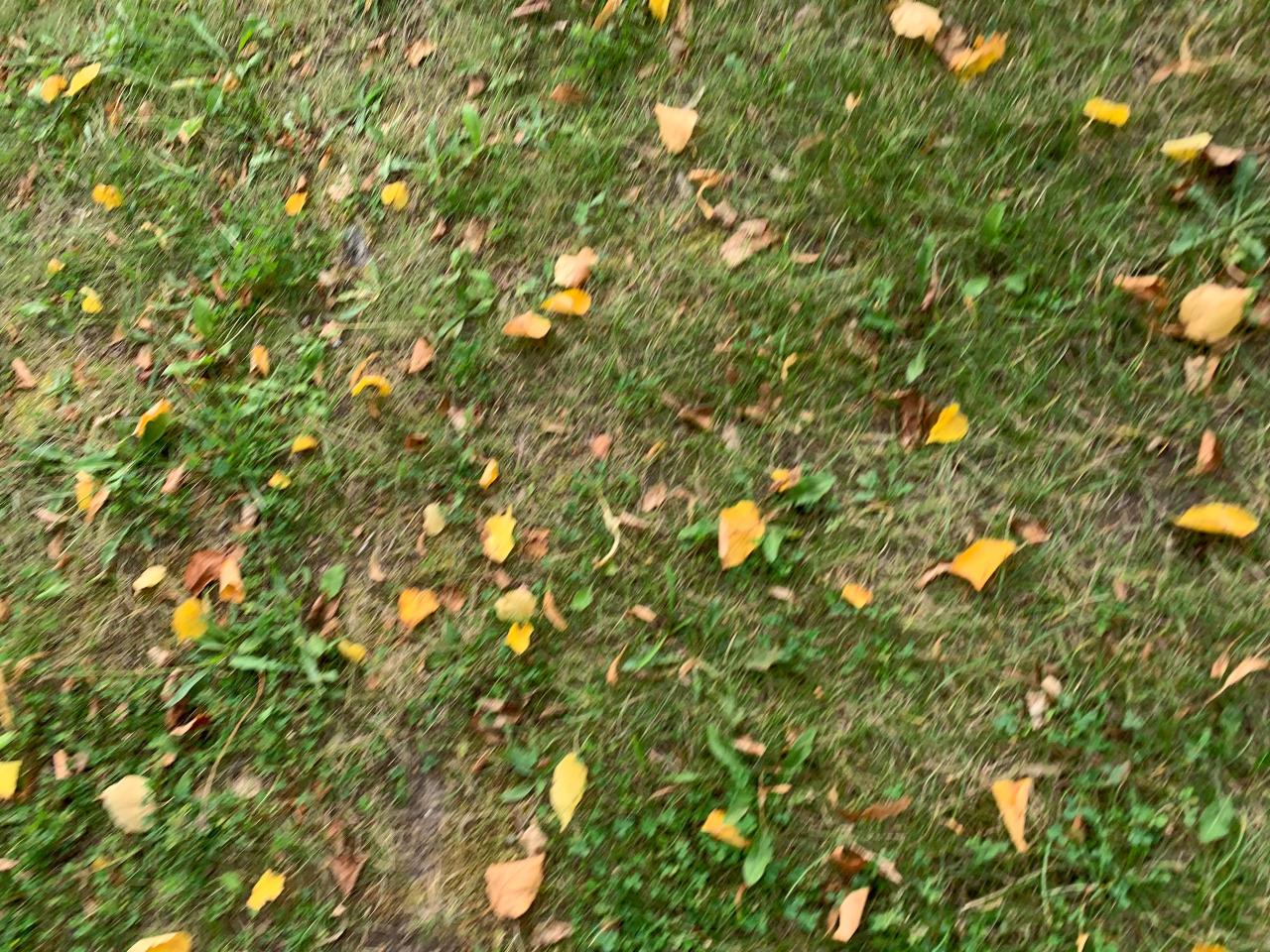 1757728430