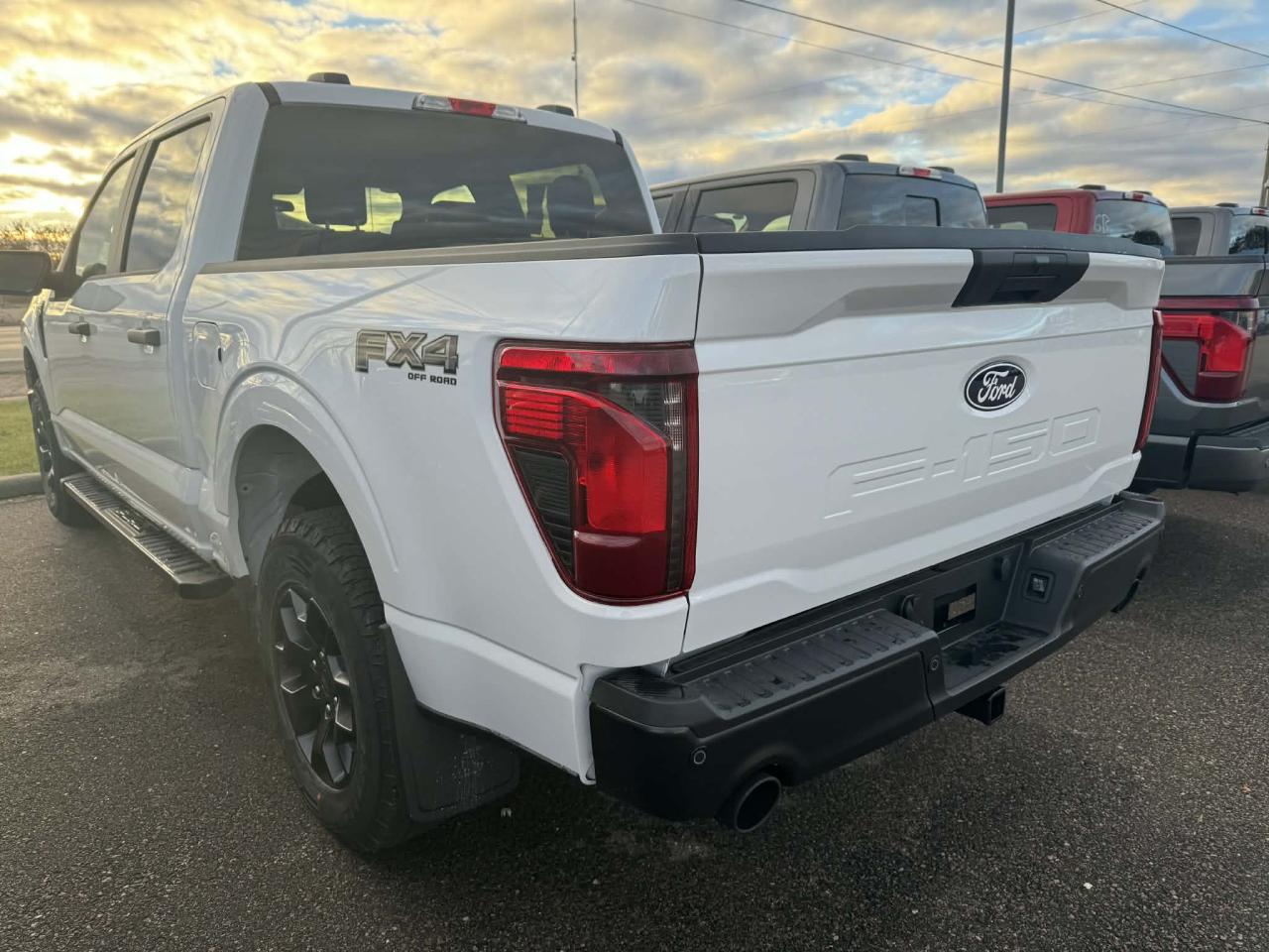 2025 Ford F-150 STX Photo
