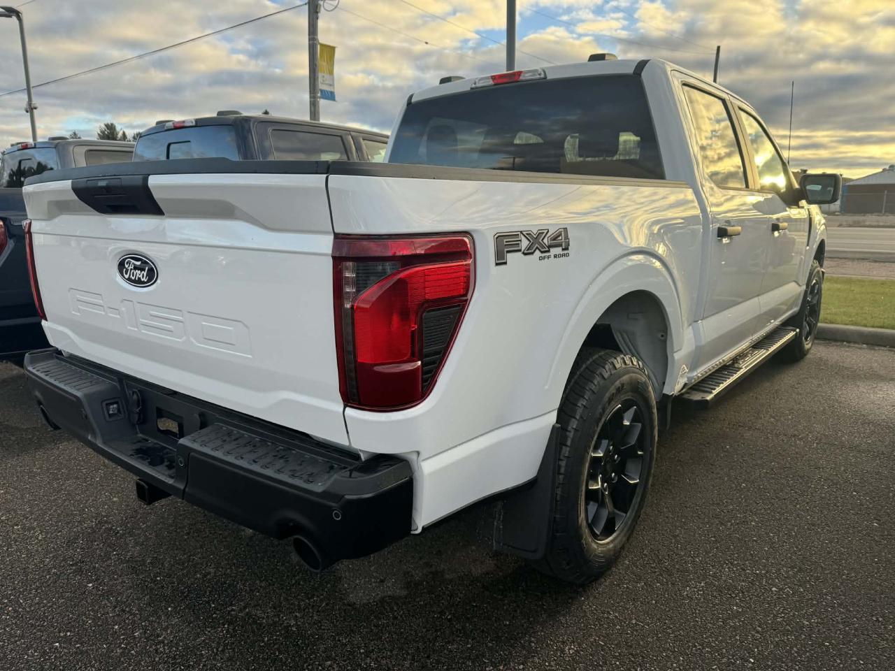 2025 Ford F-150 STX Photo