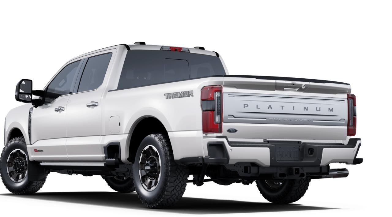 2025 Ford F-250 Super Duty SRW Platinum Photo