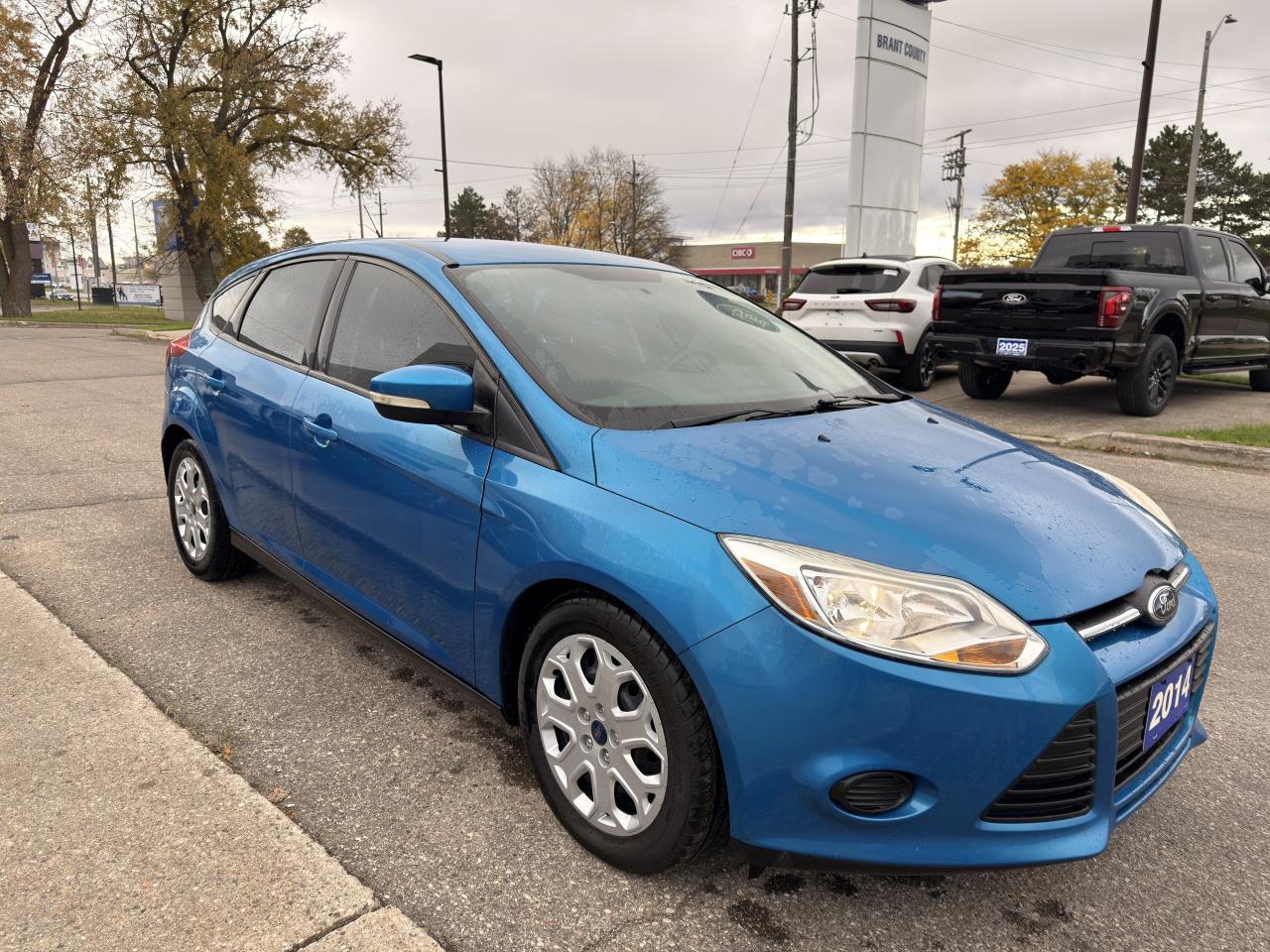 2014 Ford Focus SE Photo3