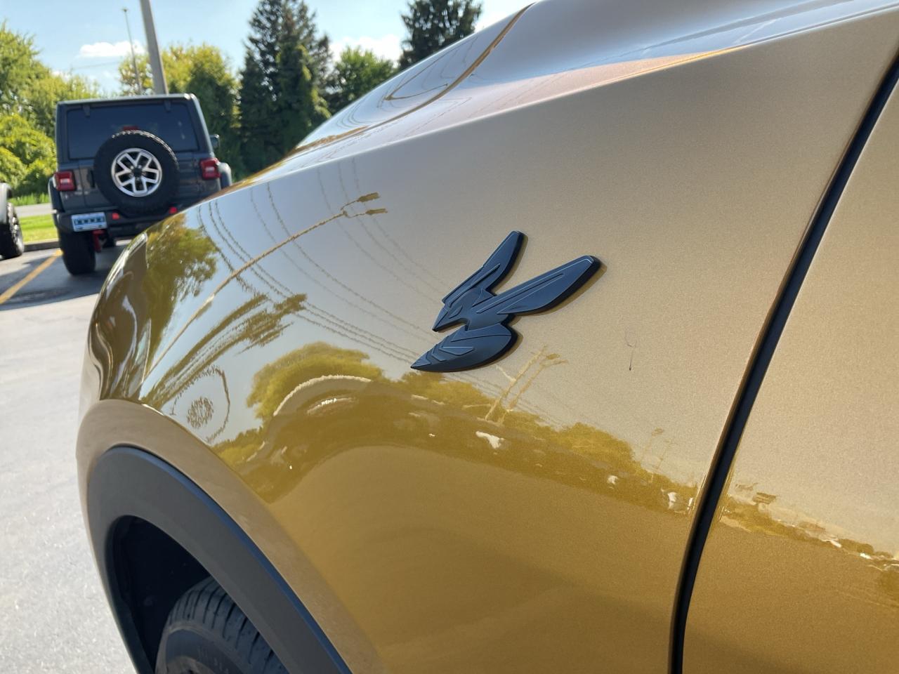 12966419