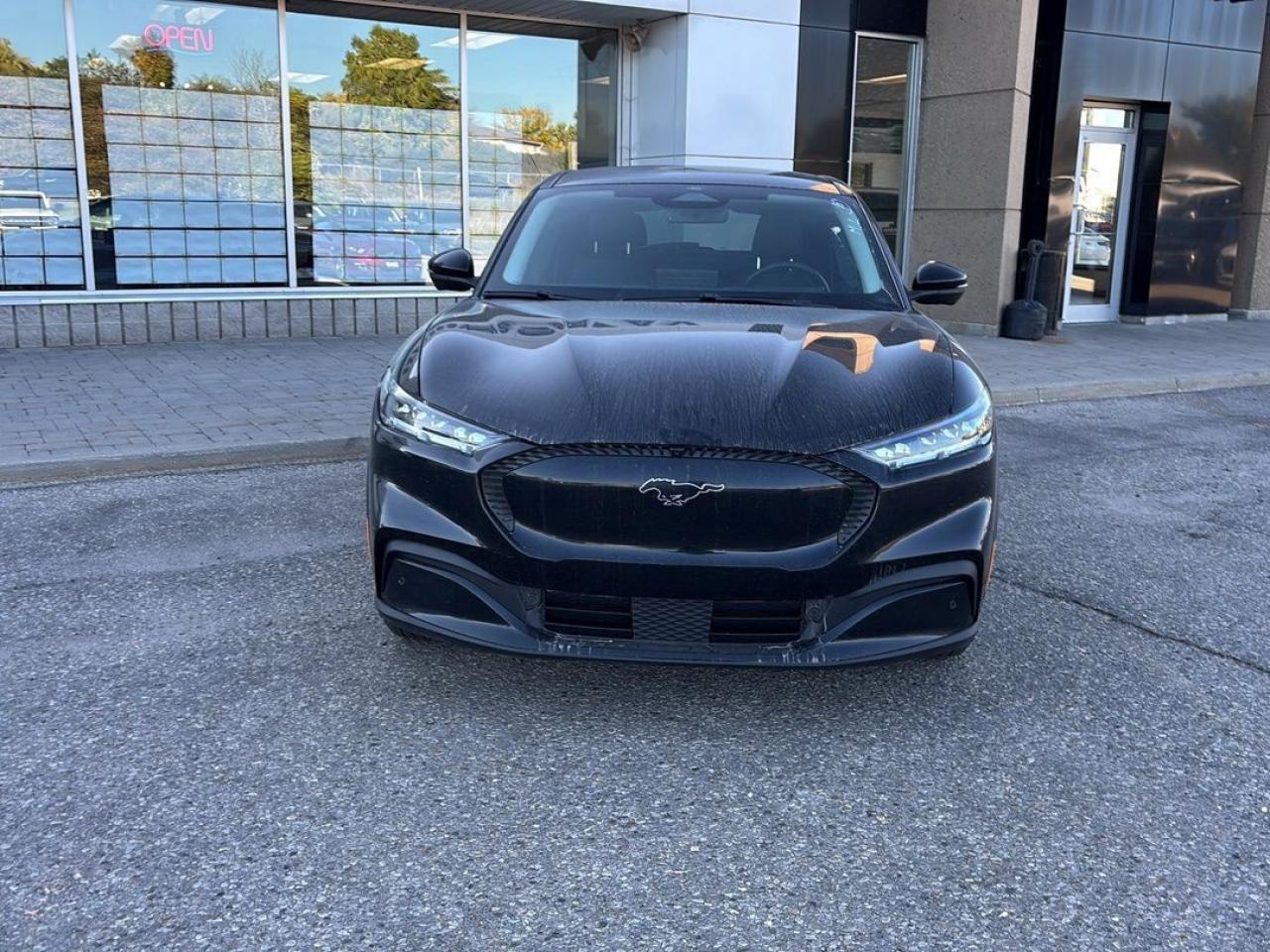 2022 Ford Mustang Mach-E Select Photo1