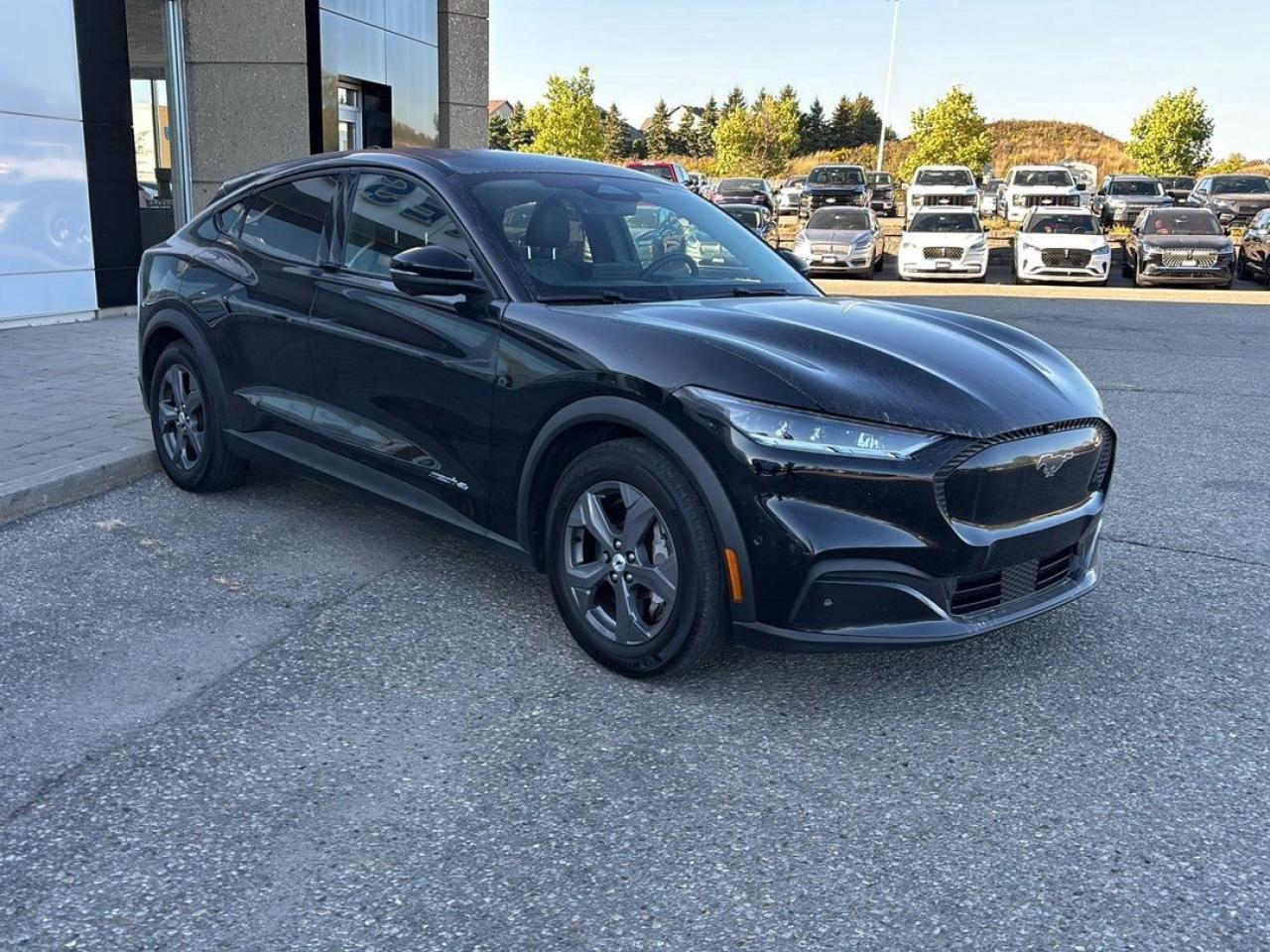 2022 Ford Mustang Mach-E Select Photo2