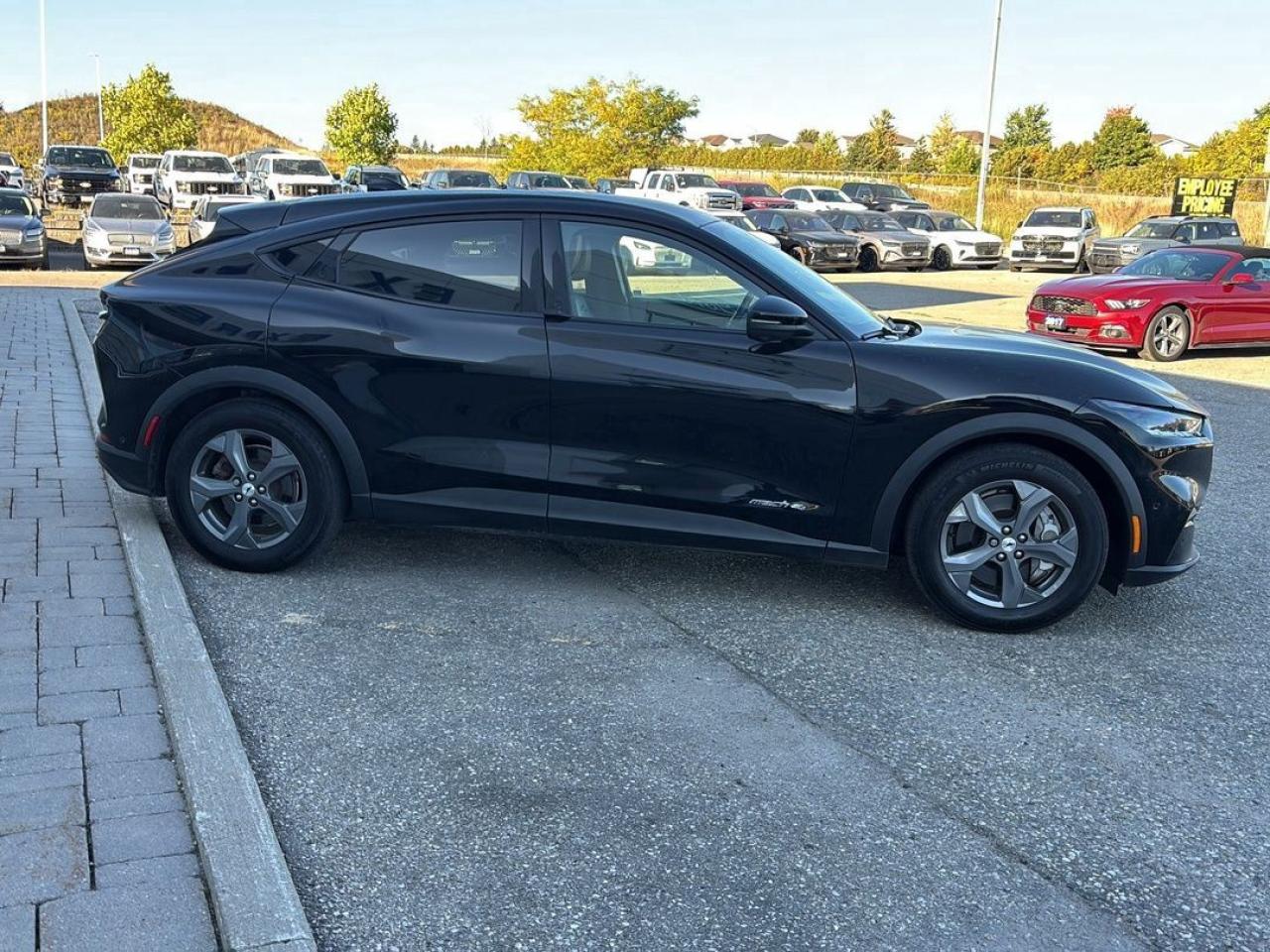 2022 Ford Mustang Mach-E Select Photo