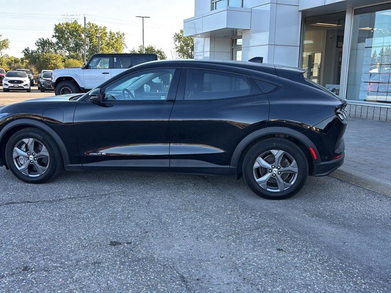 2022 Ford Mustang Mach-E Select Photo5