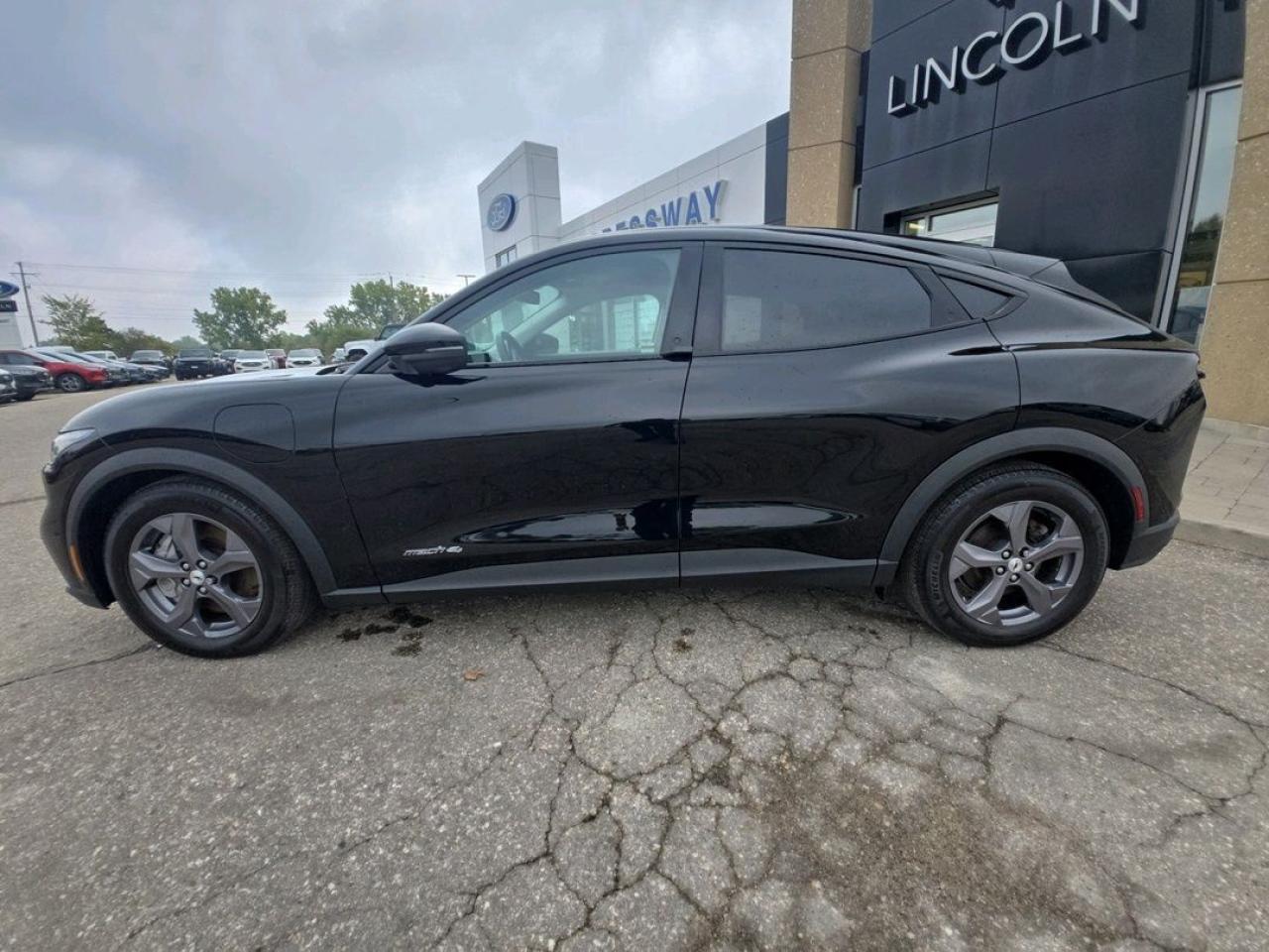 2022 Ford Mustang Mach-E Select Photo5